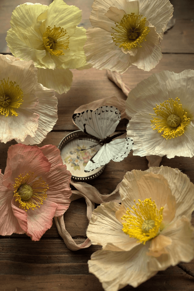 Iceland poppy online course