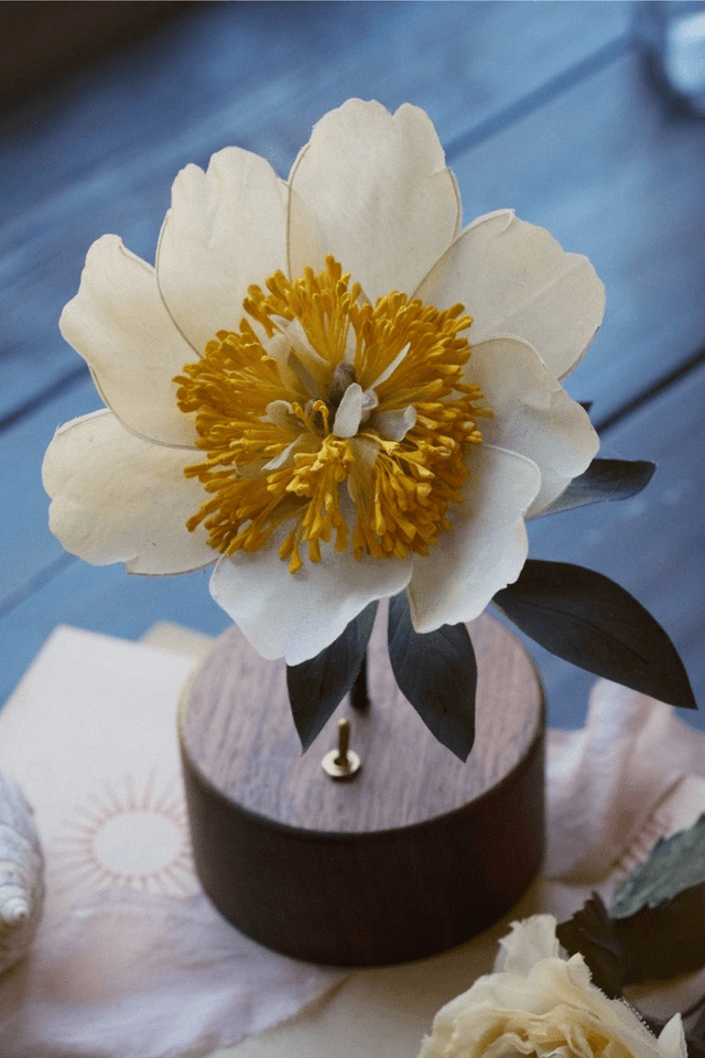 13 Sep 2025 Art flower workshop -  iceland poppy / claire de lune peony