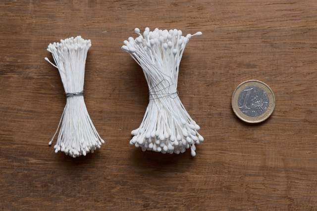 Stamens（Round）