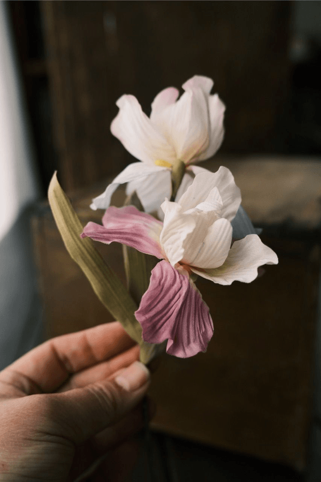 Iris in cat vase