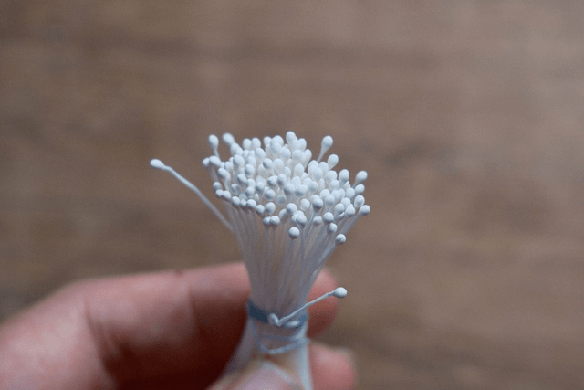 Stamens（Round）