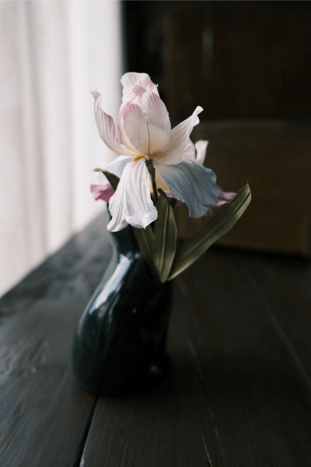 Iris in cat vase
