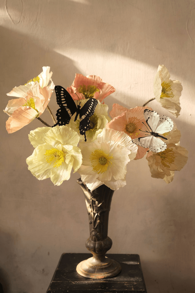 Iceland poppy Materials pack