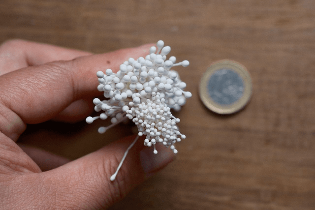 Stamens（Round）