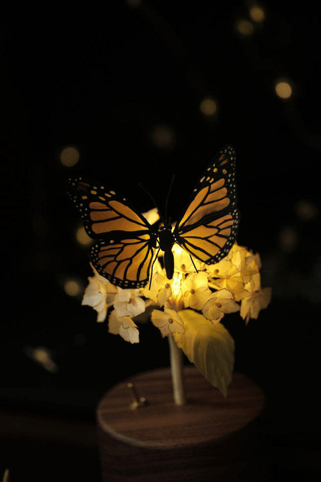 Flower Candlelight .004