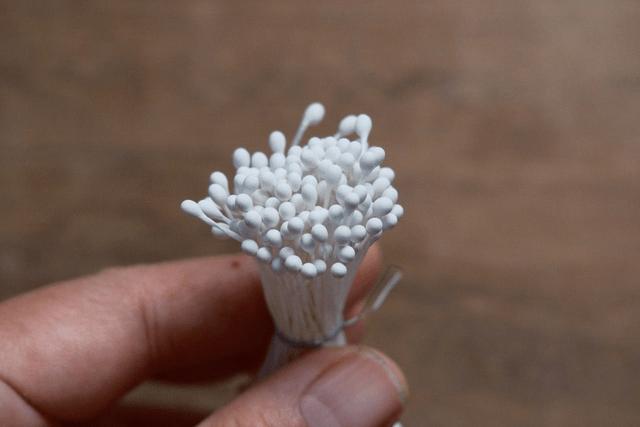 Stamens（Round）