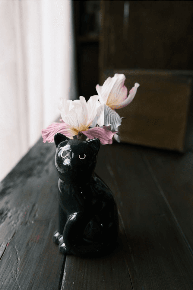 Iris in cat vase
