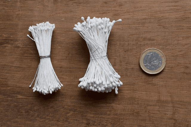 Stamens（Round）